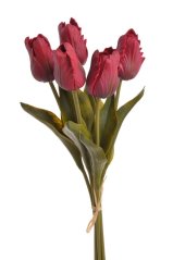 Tulipán papouščí 5 ks ve svazku s listy, 32 cm, barva 13