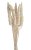 Přírodní dekorace cane cone mini dl. 40cm - 25ks
