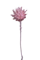 Plumosum 1 FROSTED ERIKA dl. 28cm -  6ks