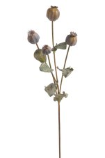 Umělé makovice s listy na drátěném stonku 2,5-3cm/dl. 63cm