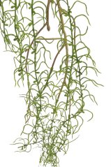Umělá rostlina převis dl. 146cm