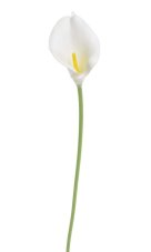 Umělá květina Kala svazek 9ks, dl. 37 cm, barva 06