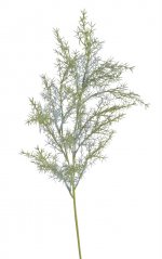 Asparagus větev 84 cm, barva 229