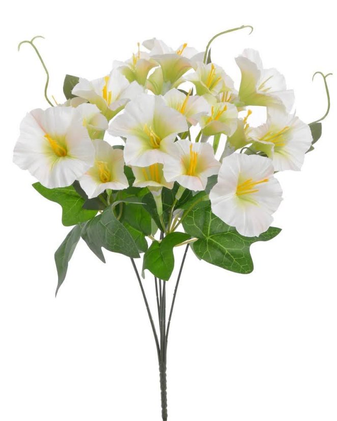 Kytice kvetoucích wilců 21 kvítků,  Ø kvítku 3,5 - 6,5 cm, dl. kytice 40 cm