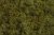 Preparovaný mech  island moss 500g OLIV GREEN Z178