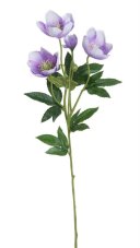 Umělá čemeřice 7cm/62cm 209CAN04024_05