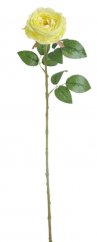 Umělá růže Austin, hlavička Ø 10cm/dl. 68cm - žlutá světlá