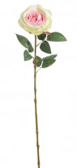 Umělá růže Austin, hlavička Ø 10cm/dl. 68cm - růžovozelená