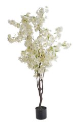 sakura stromek v květináči 140cm