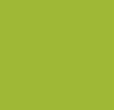 Dekorační papírové ubrousky Unicolor 33 x 33cm  - Grass Green SLCO 0021 00