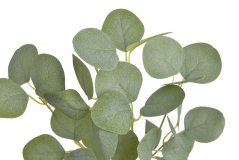 Umělá větvička Eukalyptus populus dl. 61cm