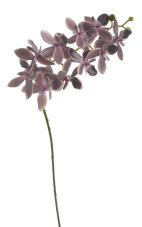 Lata umělé orchideje s deseti květy, květ Ø7cm/dl.60cm