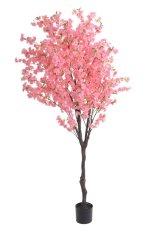 sakura stromek v květináči 235cm