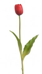 Tulipán z měkčeného plastu 5cm, dl.40cm