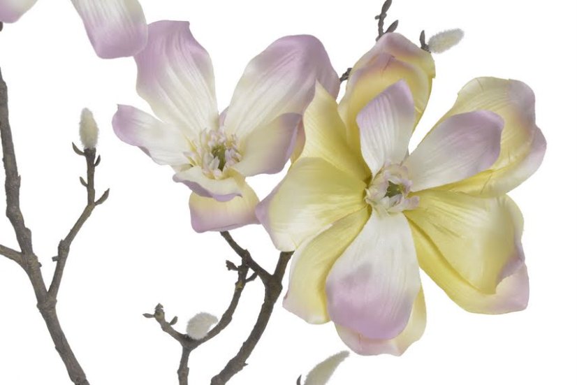 209CAN4006PT_20 magnolie 84cm