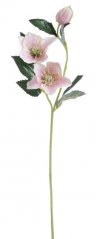 Umělá čemeřice s 2 květy, květ Ø 9cm, dl.  57 cm