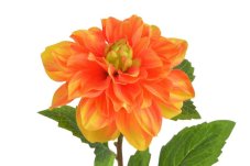 Umělá květina kvetoucí dahlie, květ Ø 12cm, dl.56cm