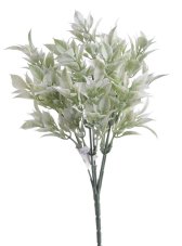 Ruskus zápich 30 cm, 5 větviček, barva 17