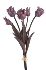 Tulipán papouščí svazek x5, 45cm
