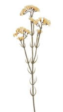 Podzimní květina umělá kvetoucí statice dl. 62cm