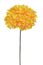 Divoký bez svazek 6 stonků s kvítky, dl. 22 cm, barva 20