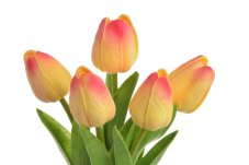 Svazek pěnových tulipánů s listy dl. 32cm - 5ks