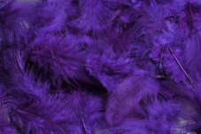 Přírodní barvené peří 7 - 12 cm DK. PURPLE
