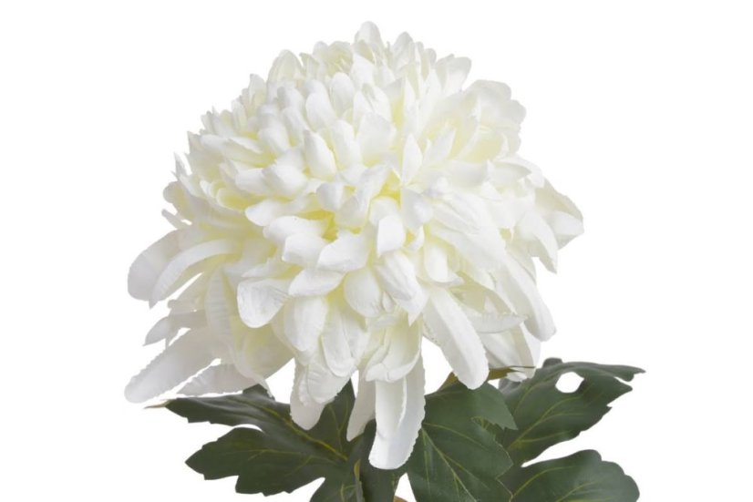 Chryzantéma na stonku s listy, 73 cm