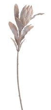 Umělá kvetoucí protea na stonku s listy, květ 11cm/dl.70cm