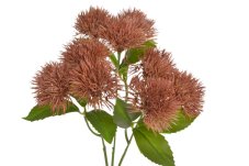 Umělá květina bodlák 58 cm – hnědá