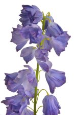 Umělé kvetoucí zvonky,  květ Ø 4cm, zápich dl. 98cm