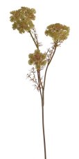 Dekorace umělá kvetoucí větvička kopru dl.75cm
