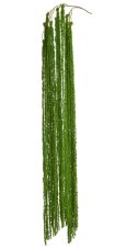 Umělý převislý amarant 175 cm