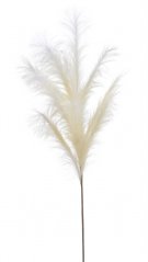 Umělá pampová tráva dl.110cm, barva CR/WH 3A