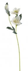 Umělá čemeřice s 2 květy, květ Ø 9cm, dl.  57 cm