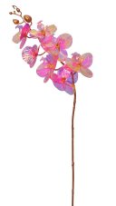 Opalizující lata orchideje dl. 80cm