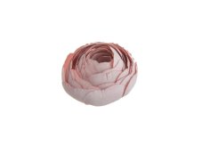 Umělý pryskyřník / ranunculus – hlavičky květů, Ø 3 cm, 12 ks