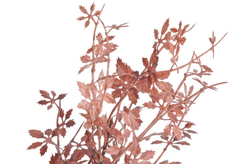 Umělá rostlina - větvička japonského javoru dl. 106cm