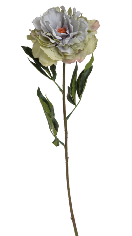 Květ rozkvetlé pivoňky na dlouhém stonku dl. 96cm_5395