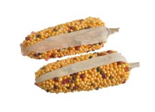 Dekorační kukuřice oranžová 11 cm, 2 ks