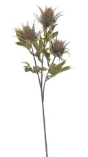 Kvetoucí bodlák větvička s 3 květy 68 cm