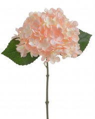 Květ hortenzie na stonku s listy - květ Ø 14 cm, dl. 32 cm