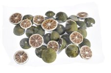 Sušený půlený citron 2–5 cm – 200 g