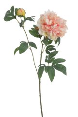 Umělá pivoňka s květem a poupětem, květ Ø13cm/dl.70cm