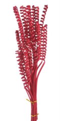 Přírodní dekorace Cane spring mini vyb. dl. 38cm - 25ks