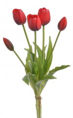 Kytička plastových tulipánů - 5 květů - dl. 40 cm 254CAN02_02