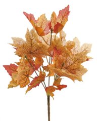 124CAN51176_105 listyx5, 30cm