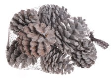 Vánoční přírodní dekorace Pine Fruit Flocking 5 - 7cm - 8ks