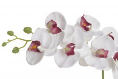 Lata umělé orchideje 7 květů s poupaty, květ  9cm/dl.77cm