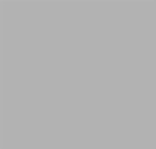 Dekorační papírové ubrousky SL 33 x 33cm - 20 ks - Silver SLOG 0055 00